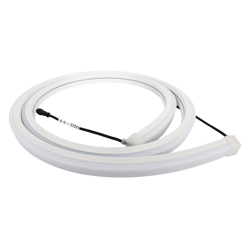 20x20mm Programmable Neon Flex LED Tube